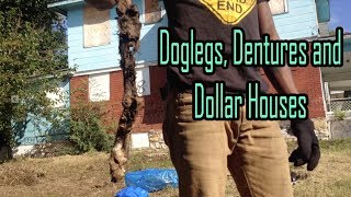 Doglegs Dentures &amp; Dollar Houses