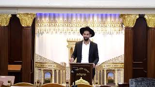 הרב מאיר דוד שמואלי שליט&quot;א - שידור חי - כוחנו באחדותנו