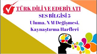 Türk Di̇li̇ Ve Ebebi̇yati Uluma, N M Değişmesi, Kaynaştırma Harfleri Pratik Çözümleri