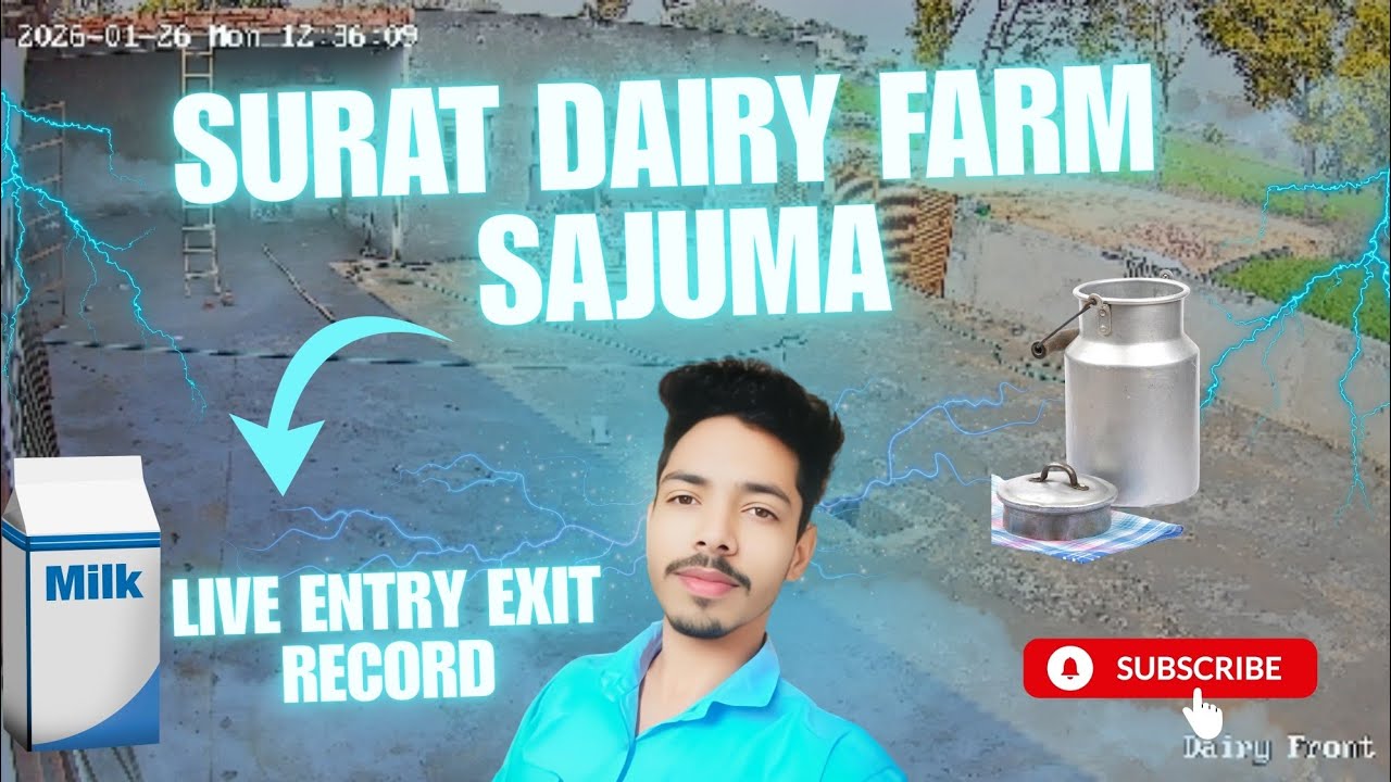 Surat Dairy Farm Front Camera Live | Entry Gate CCTV Footage | Safety & Monitoring