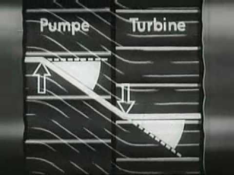 Hydraulische Kupplung