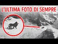Gli ultimi incontri con specie estinte