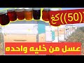 10 شروط طبقها تحصل على اكثر من 40كيلو عسل من خليه واحده سنويا