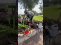 Garden Upgrades at St Francis Bay