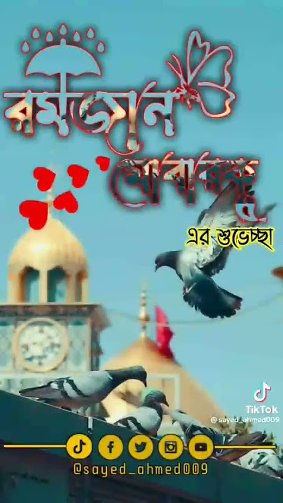 19 March 2023