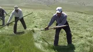 Yilmaz Koyuncu Soydan Ucar Hawar Cawo