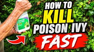 How to Kill Poison Ivy Fast!