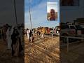 اونٹوں کا ریس یو اے ای میں     