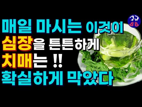 생활건강정보-구구팔팔