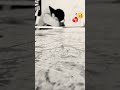 يا غير وحدي مدمر 