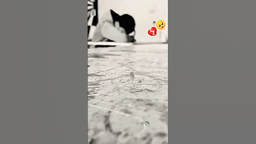 يا غير وحدي مدمر 