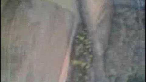 Super Cub Onboard Video