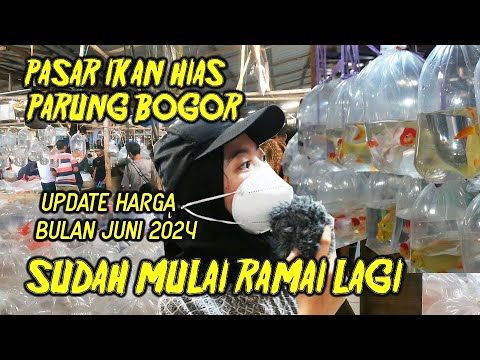 PASAR IKAN HIAS MULAI BER GAIRAH LAGI... RAMAI ...UPDATE BULAN JUNI 2022