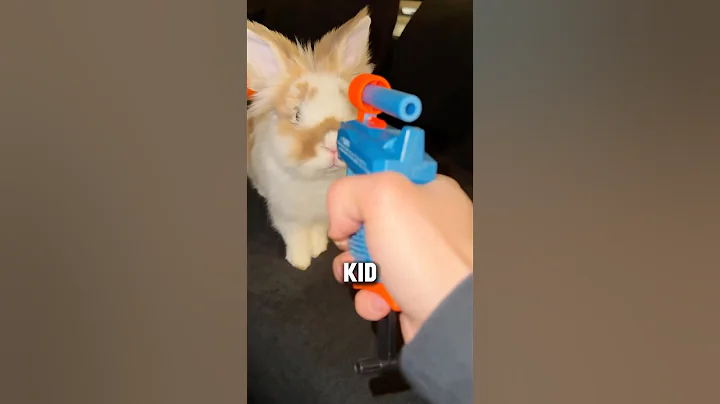 3 Things You Should NEVER Do With Nerf