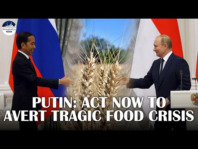 Indonesia: Western sanctions on Russia should not threat global food or fertilizer supplies class=