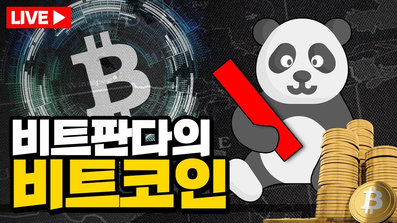 비트판다_비트코인]코인이 궁금한가??? 지랄 옆차기를 할 상일쎄... #단테사단 #30% #단테 #핀업 #핀업스탁 #바이비트 -  YouTube