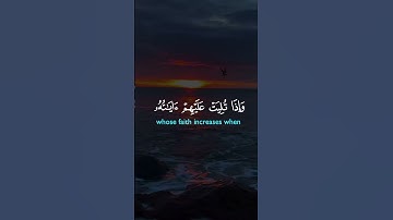 سورة الأنفال القارئ سعد الغامدي