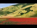 Castelluccio di Norcia - Girovagando in Camper