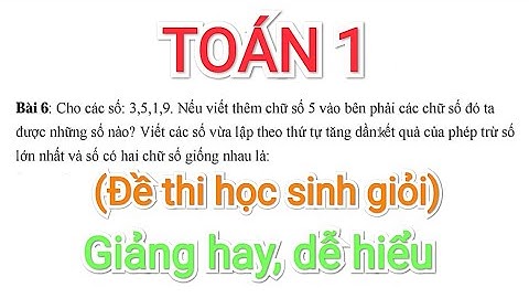 Bộ đề thi học sinh giỏi lớp 1 môn toán năm 2024