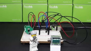fayalab_leaf_HallSolenoid