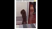 Олег Колбаскин