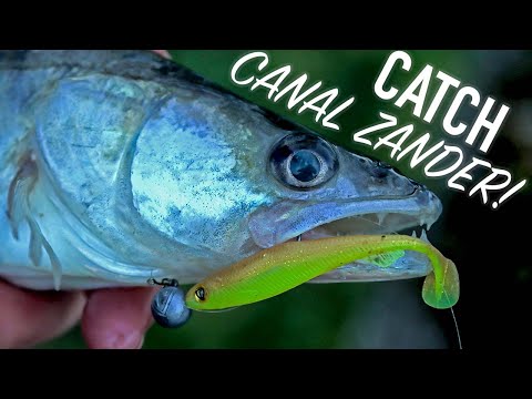 Video: How To Catch Zander In Winter On Sprat