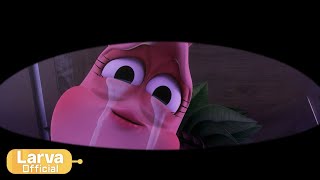 are you okay animation compilation larva tuba official