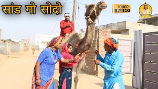 सांड गो सोदो ll Rajasthani comedy ll Mahender Rajasthani comedy