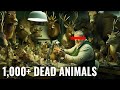 Dark Secrets of a Taxidermist&#39;s Abandoned Home | Austria Uncovered