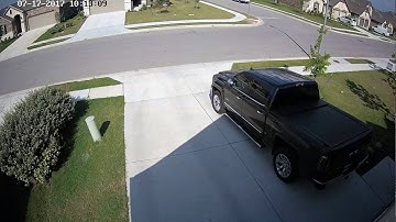 floaty bird floating