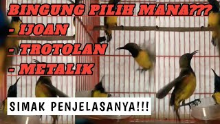 RECOMMENDATION for choosing ombyokan ingredients - Lungo Mbolang version