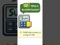 Day 6/30 Excel Series #excel #excelbasics #learning #skills #shorts #shortsvideo