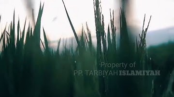 Profil PP. Tarbiyah Islamiyyah MTsN 1 Purwakarta