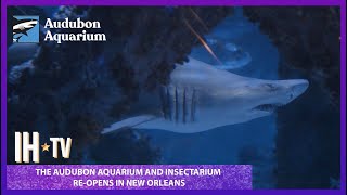 Visiting The Audubon Aquarium and Insectarium In New Orleans 2023