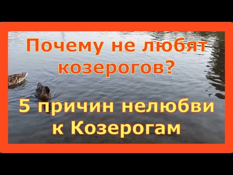 Почему не любят козерогов?! 5 Причин нелюбви к Козерогам \\ Знак Зодиака Козерог
