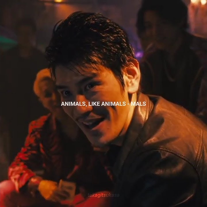 Story WA High And Low [Kidra] || Animals - Maroon 5