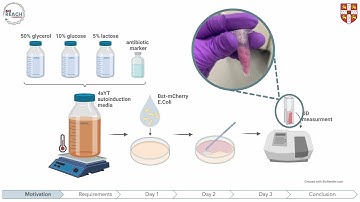 Protocol 1 - Autoinduction Scale-up