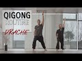 Qigong Routine - Drache | Offenheit und Verbindungsvermögen
