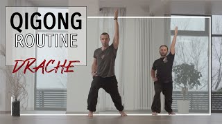 Qigong Routine - Drache | Offenheit und Verbindungsvermögen