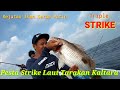 BIKIN PANIK ...!!! MANCING DASARAN DOBLE STRIKE SAMPAI TRIPLE STRIKE DI LAUT KALTARA ...