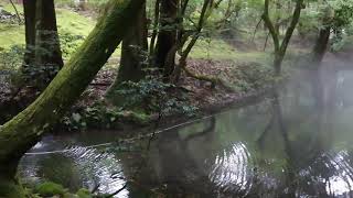 最高のパワースポット福井県勝山市in平泉寺白山神社