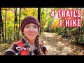 Schoolhouse Gap Loop - Solo fall hiking on 4 trails in the Great Smoky Mountains
