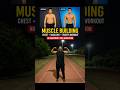 Muscle Building Home Workout 💪 | Build Muscle At Home 💯 | Home Workout #homeworkout #musclebuilding