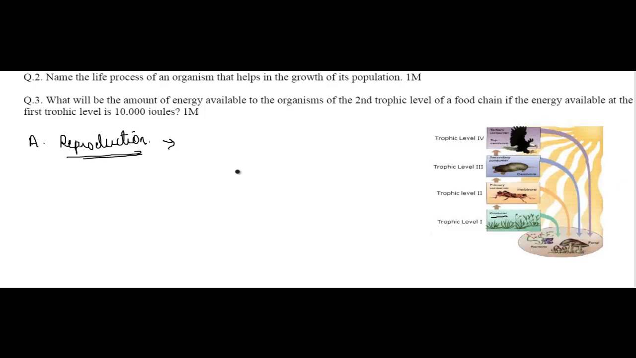 knowledge base CBSE 2015 Class 10 Biology 1 Mark Question Solution