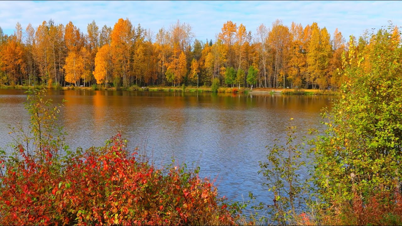 8 Hours of a  Crisp Autumn Day in Alaska