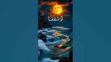 الشيخ محمد الفقيه| صوت يشفي النفس والقلب #قران #تلاوة