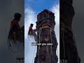 Dangerous Tree Cutting 😱 | Itna bada ped kaise gira diya? 🪵"#arborist #treecutting #chainsaw