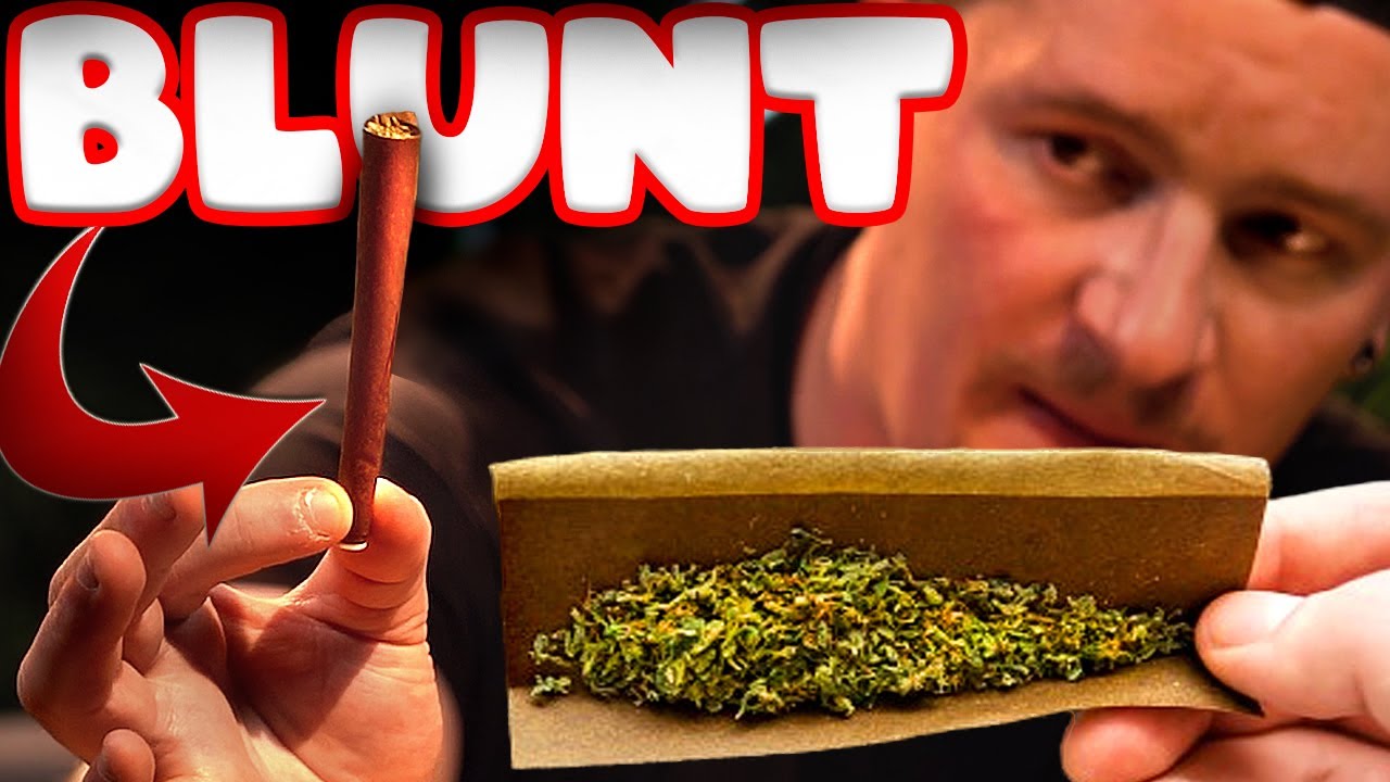 ВСЕ О КОНОПЛЕ: ИСТОРИЯ, ПОДГОТОВКА И СОВЕТЫ!