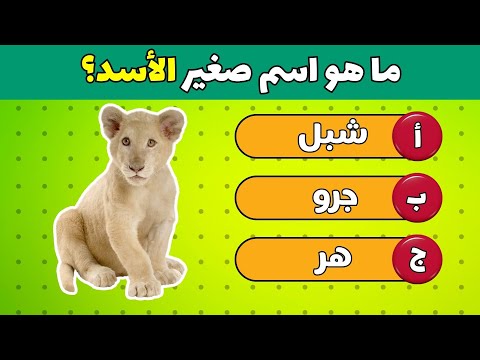 خمن أسماء صغار الحيوانات تحدي تخمين أسماء صغار الحيوانات 