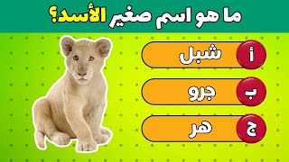 خمن أسماء صغار الحيوانات | تحدي معرفة أسماء صغار الحيوانات